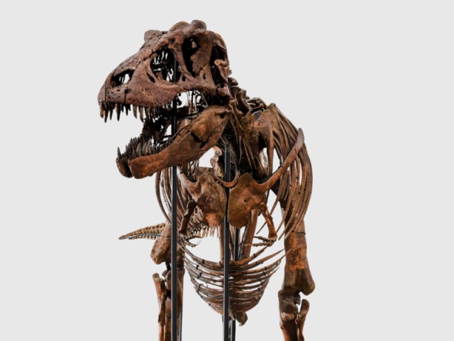 Prehistoric Permanence: The Unrepeatable Scarcity of the Deep Past