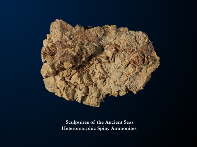 Prehistoric Permanence: The Unrepeatable Scarcity of the Deep Past