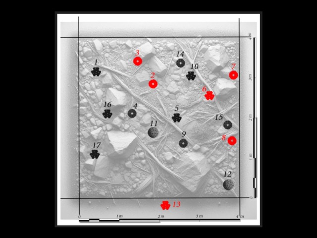RE-LAKE: The Silent Restoration of the Lario’s Underwater World
