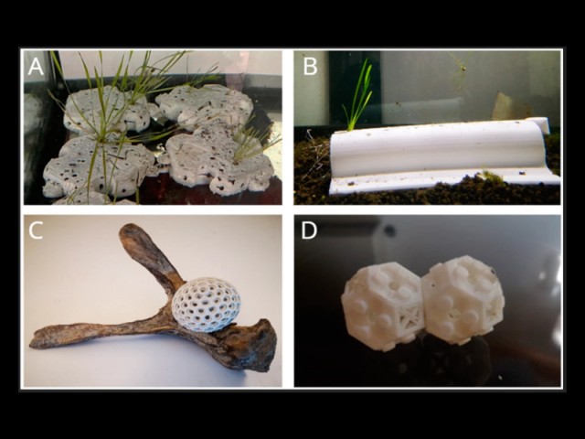 RE-LAKE: The Silent Restoration of the Lario’s Underwater World