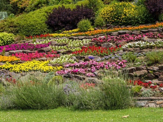 The Intersection of Art and Botany: Villa Carlotta 2026