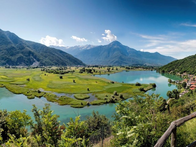 The Silent Migration: Birdwatching at Pian di Spagna