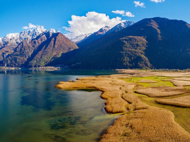 The Silent Migration: Birdwatching at Pian di Spagna
