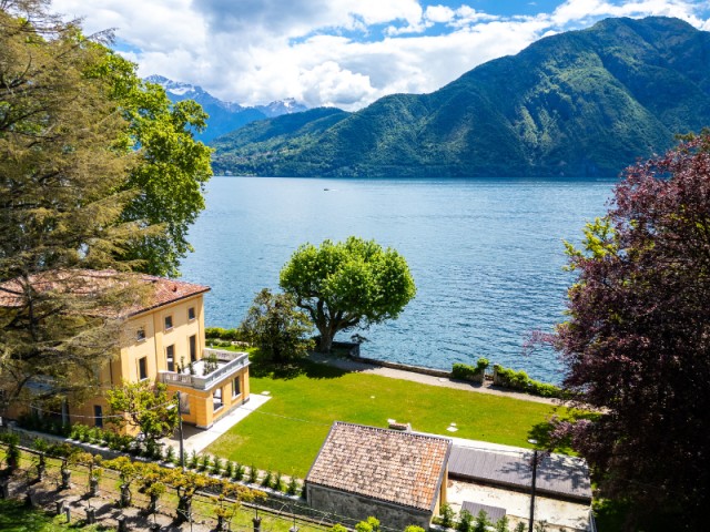 Villa I Platani: The Convergence of Botanical History and Modern Restoration